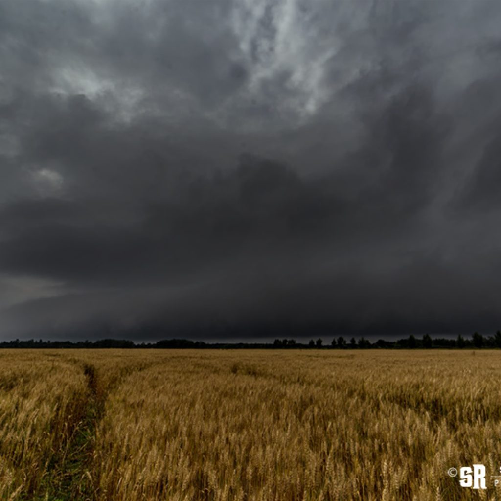 storm over wheat field in rural ontario