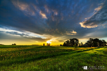 landscape print of sunrise over rural Bruce county ontario farm field