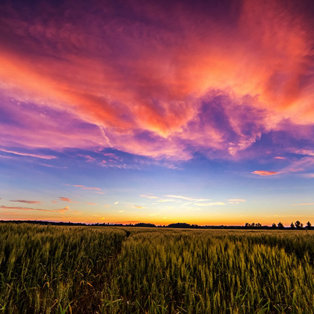 Sorbet Skies Fine Art Wall Print of Sunset over Farm Field in Rural Ontario
