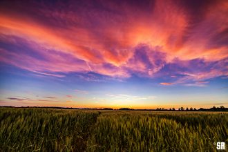 Sorbet Skies Fine Art Wall Print of Sunset over Farm Field in Rural Ontario