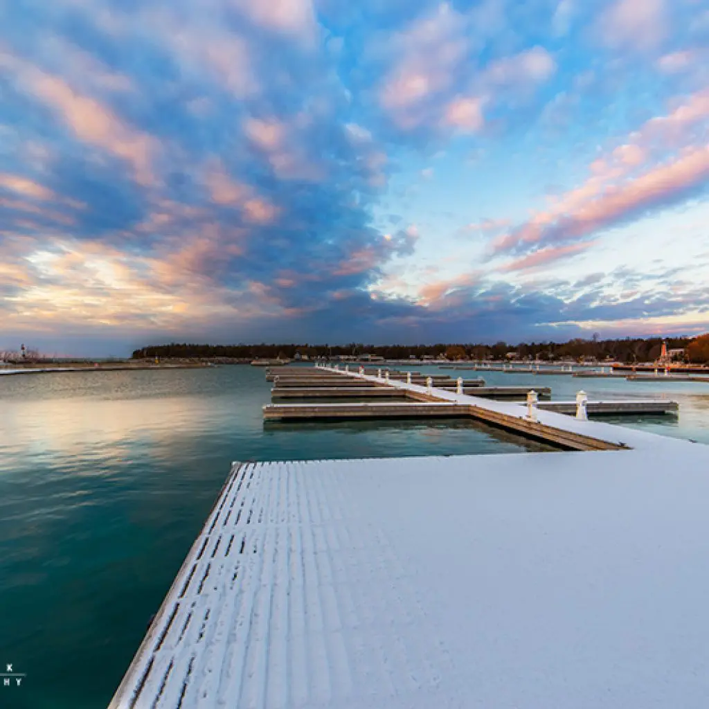 Docks of Life