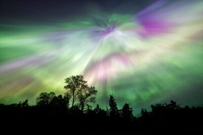 Northern Lights over tree forest in Ontario Canada